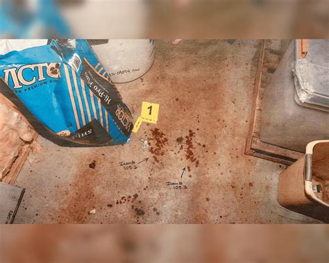 pictures of the murdaugh crime scene|Every Gruesome Crime Scene Photo Revealed In。